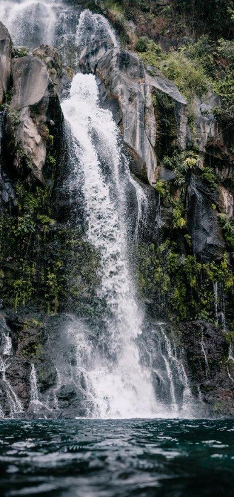 宝洁：受日本核污水排海影响，SK-II大中华区销售额暴跌34%
